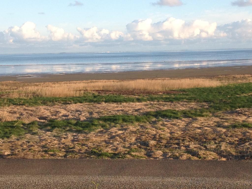 Het De Wadden Den Oever