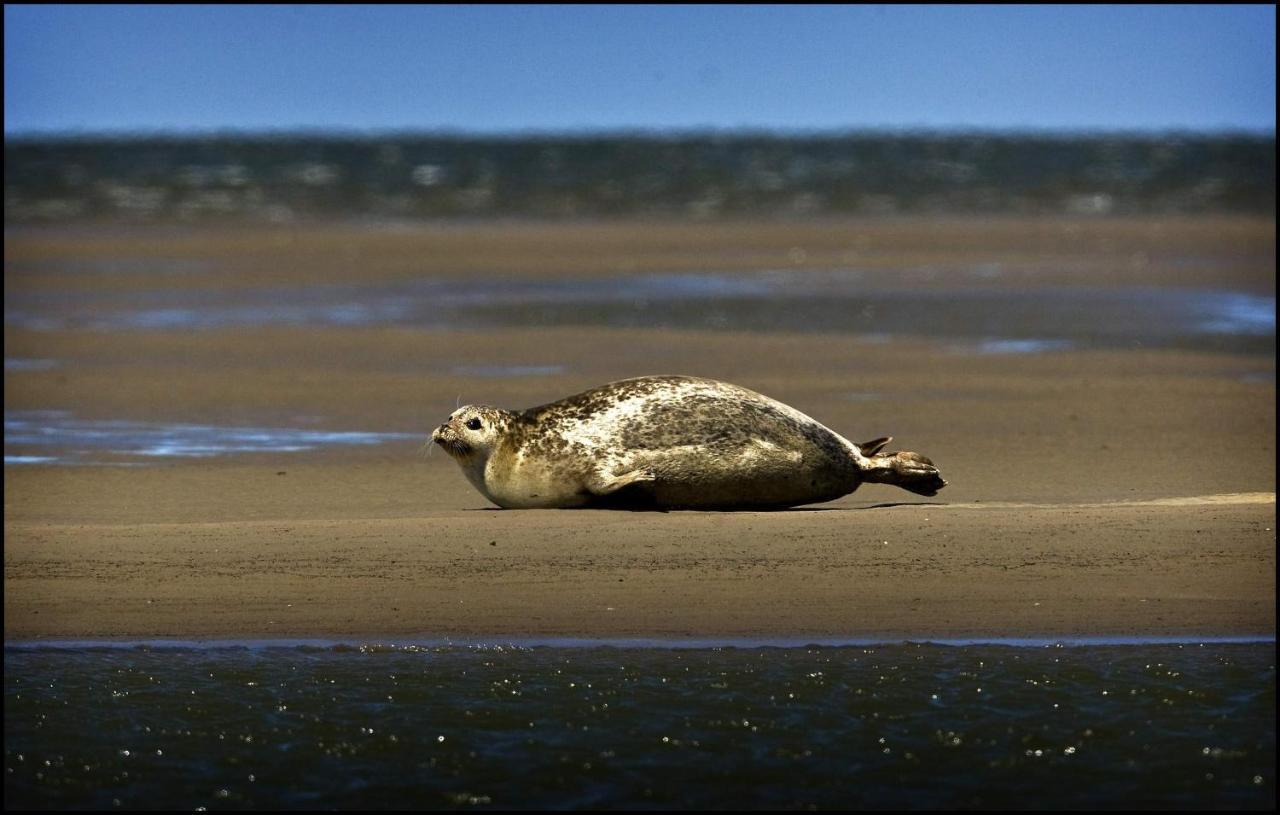 Bed & Breakfast Het De Wadden Den Oever